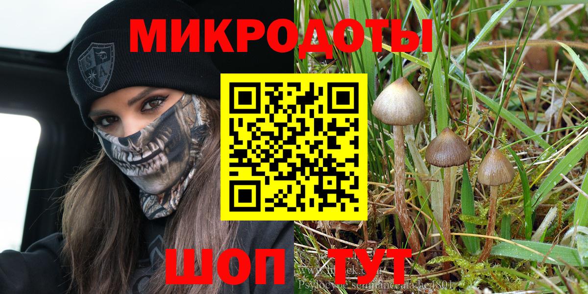 Галлюциногенные грибы Magic Shrooms  Вход с VPN  Новошахтинск  Псилоцибиновые грибы Magic Shrooms 