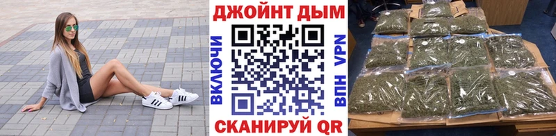 Бошки марихуана сатива MEGA маркетплейс Новошахтинск сколько стоит